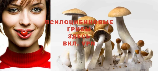 ALPHA PVP Волоколамск